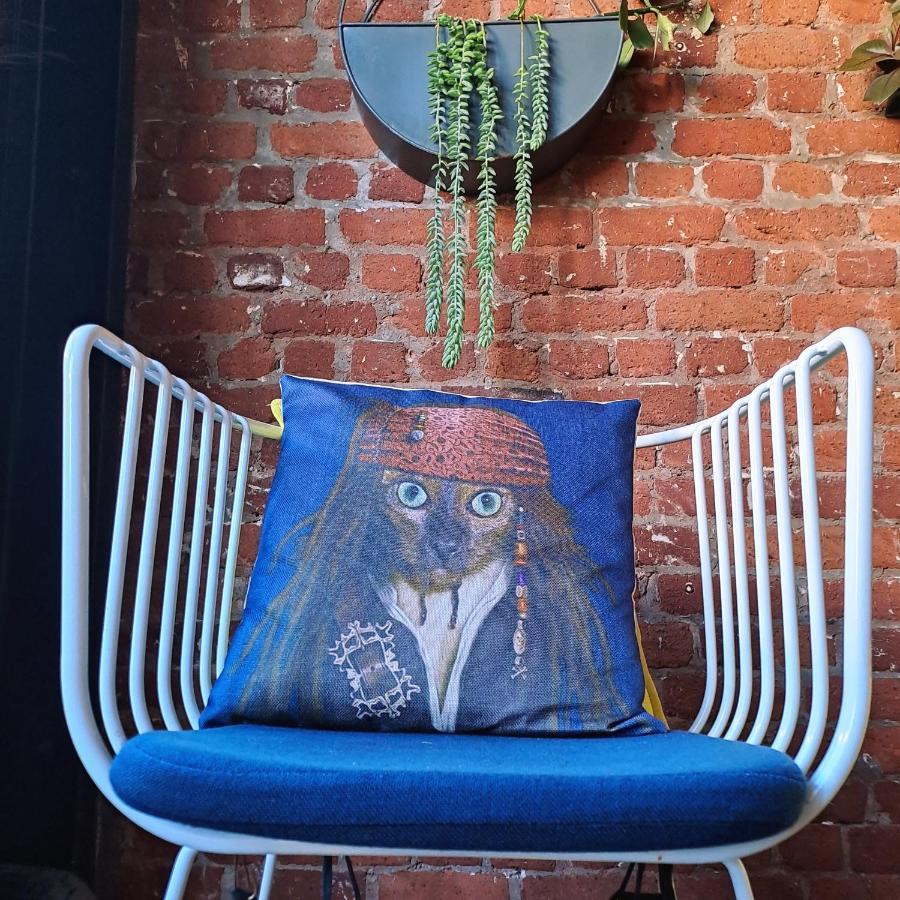Pet-friendly Loft Apartment *