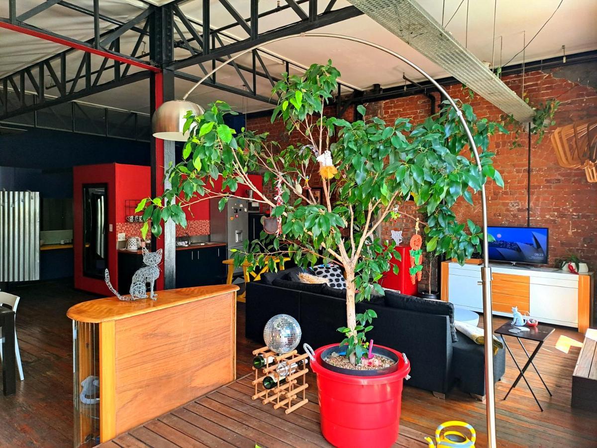 Pet-friendly Loft Apartment Cape Town
