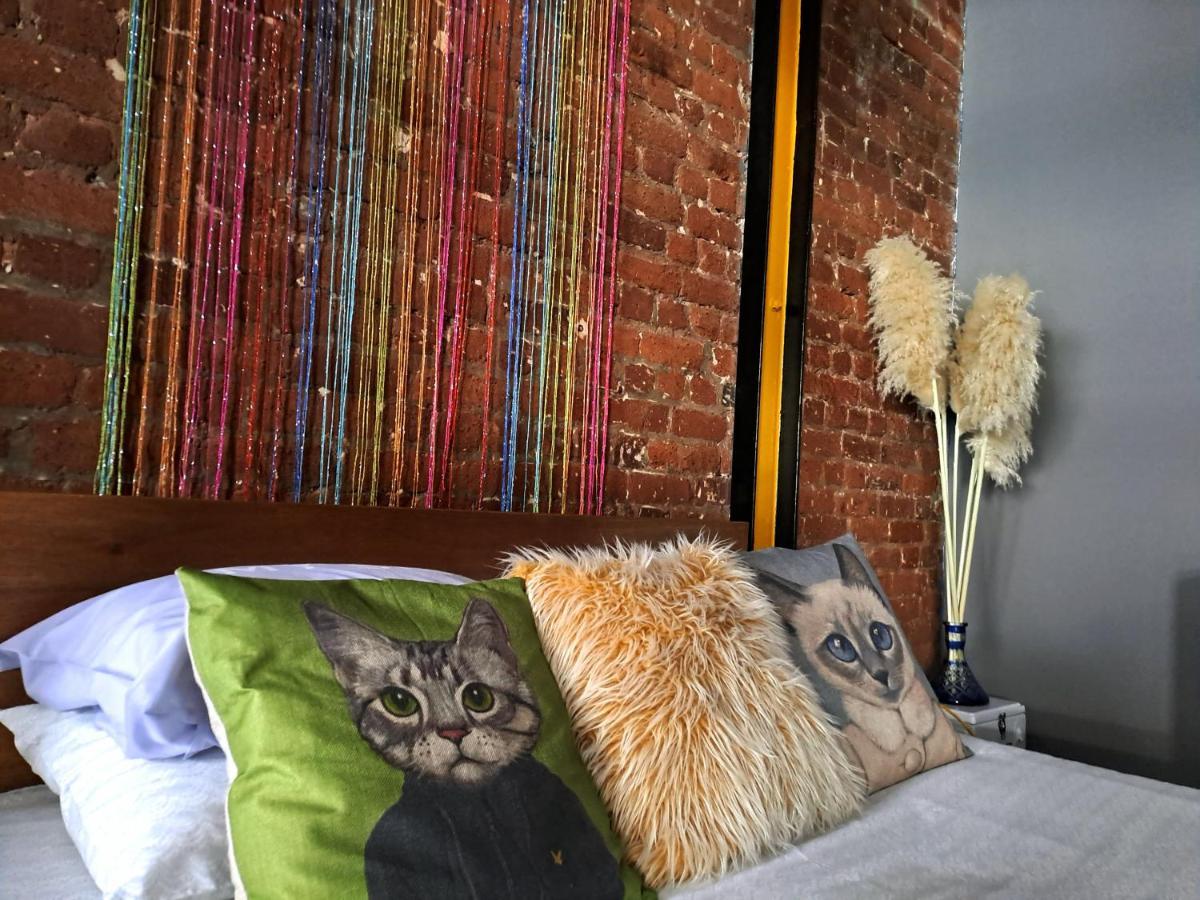 Pet-friendly Loft Cape Town