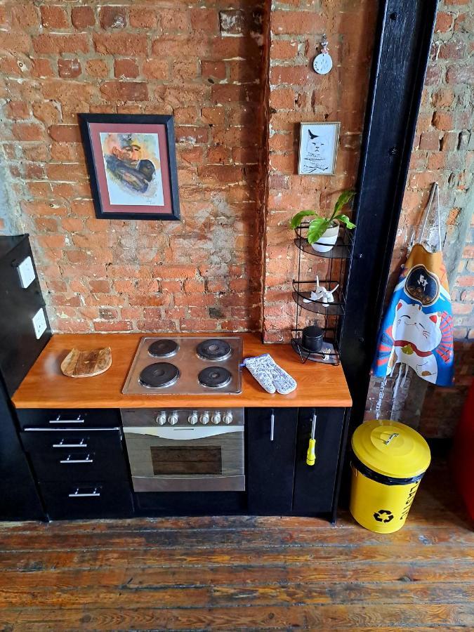Apartment Pet-friendly Loft *